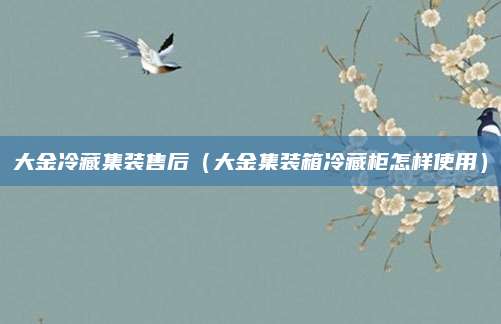 大金冷藏集装售后（大金集装箱冷藏柜怎样使用）