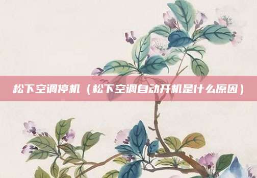 松下空调停机(松下空调自动开机是什么原因)