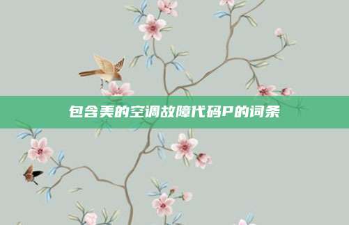 包含美的空调故障代码P的词条