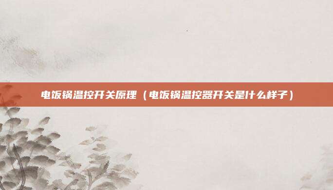 电饭锅温控开关原理(电饭锅温控器开关是什么样子)