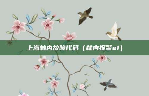 上海林内故障代码(林内报警e1)