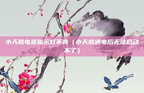 小天鹅电源指示灯不亮(小天鹅通电后无法启动不了)