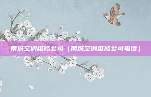 南城空调维修公司(南城空调维修公司电话)