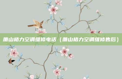 萧山格力空调维修电话(萧山格力空调维修售后)