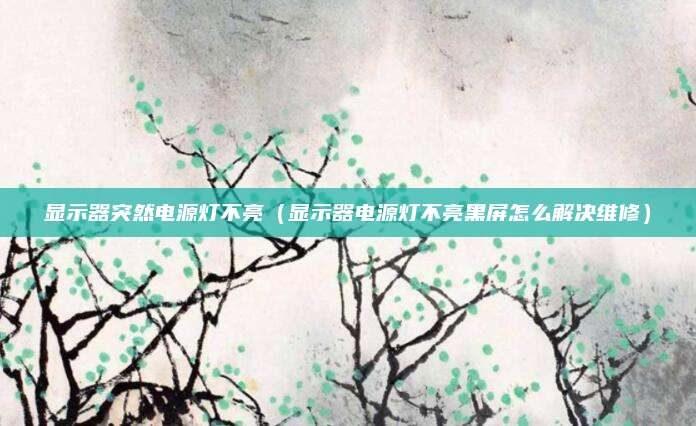 显示器突然电源灯不亮(显示器电源灯不亮黑屏怎么解决维修)