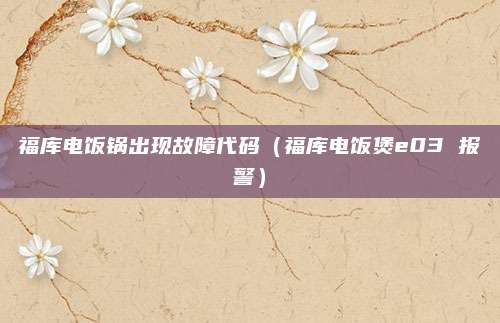 福库电饭锅出现故障代码(福库电饭煲e03 报警)