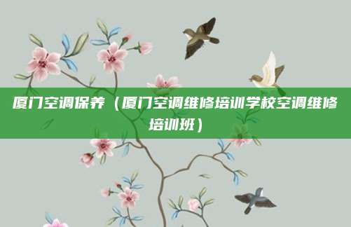厦门空调保养（厦门空调维修培训学校空调维修培训班）