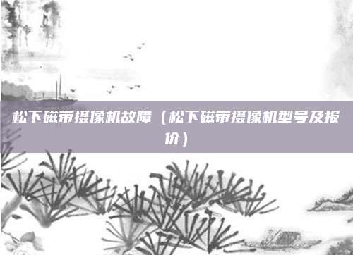 松下磁带摄像机故障(松下磁带摄像机型号及报价)