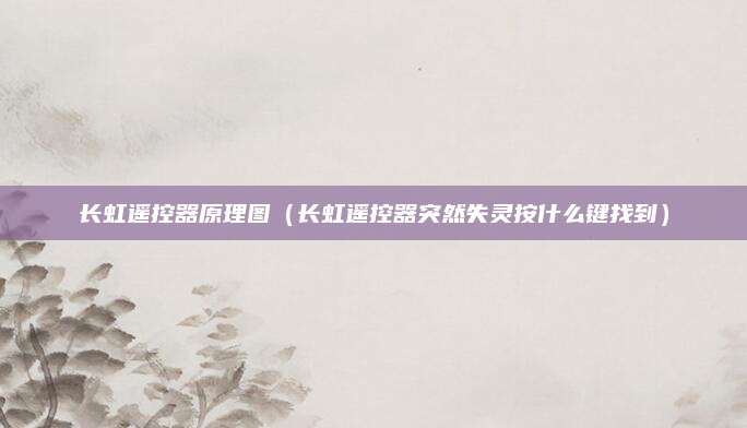 长虹遥控器原理图(长虹遥控器突然失灵按什么键找到)