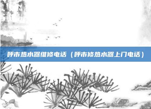 呼市热水器维修电话(呼市修热水器上门电话)