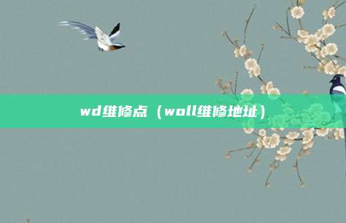 wd维修点(woll维修地址)
