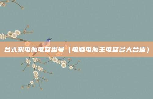 台式机电源电容型号（电脑电源主电容多大合适）