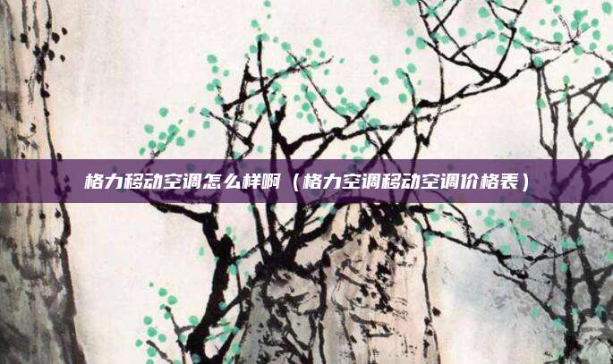 格力移动空调怎么样啊（格力空调移动空调价格表）